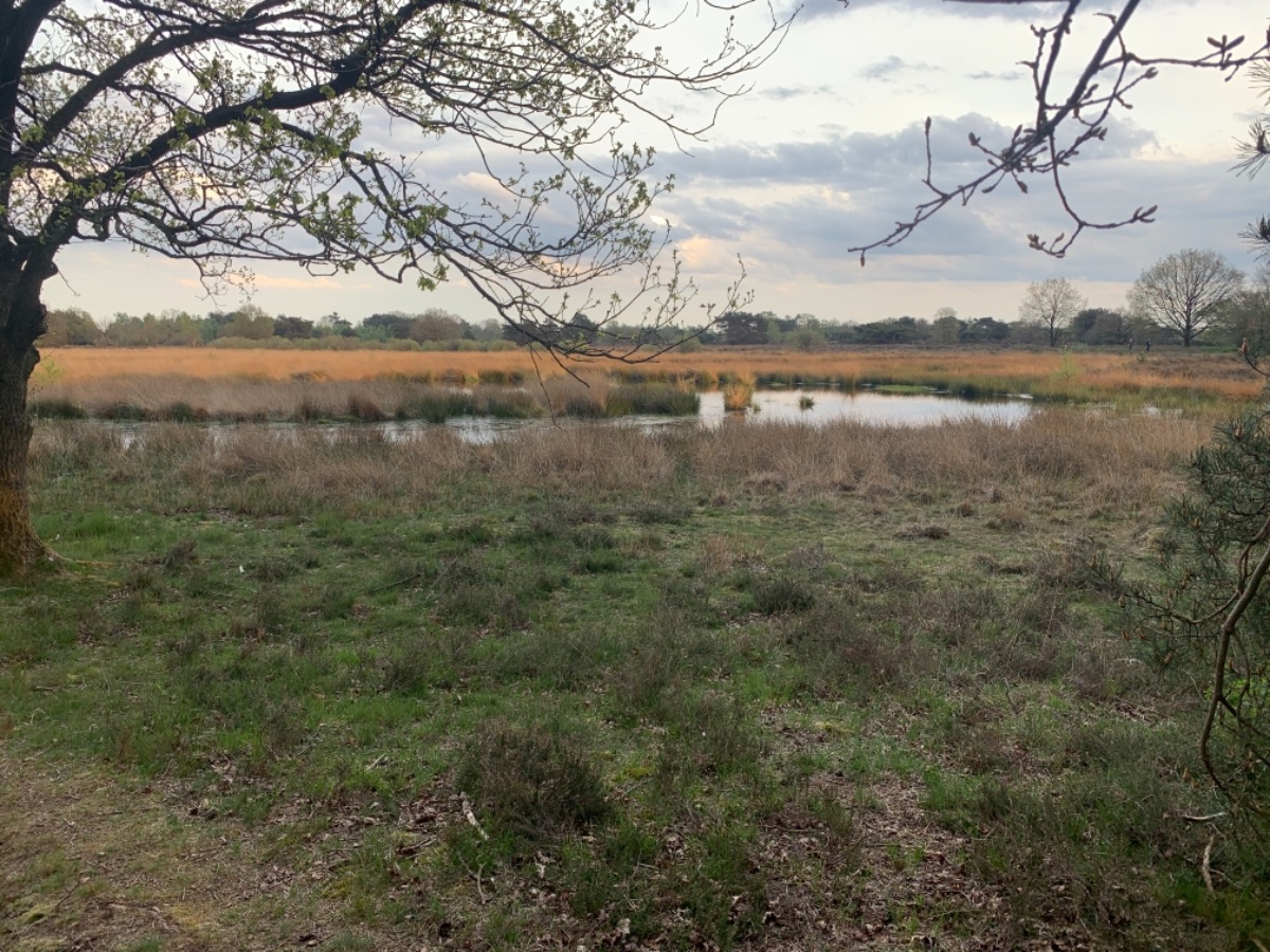 Wandelroute Makkumerplas